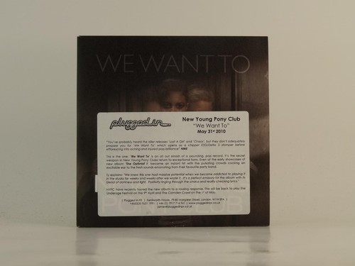 New young pony - pony, to