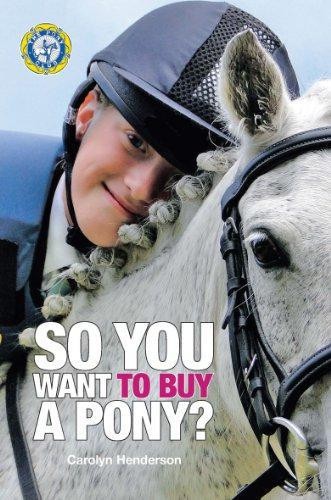 You want buy a pony - you,